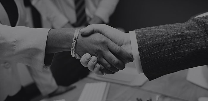 Two professionals shaking hands after agreeing to work together