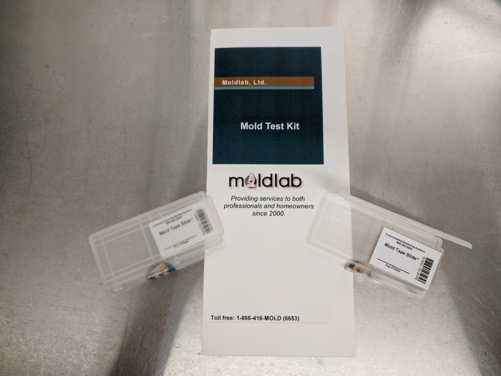 Surface Test Kit for DIY mold detection, showing two test strips, instruction pamphlet, and Moldlab sample analysis packaging.