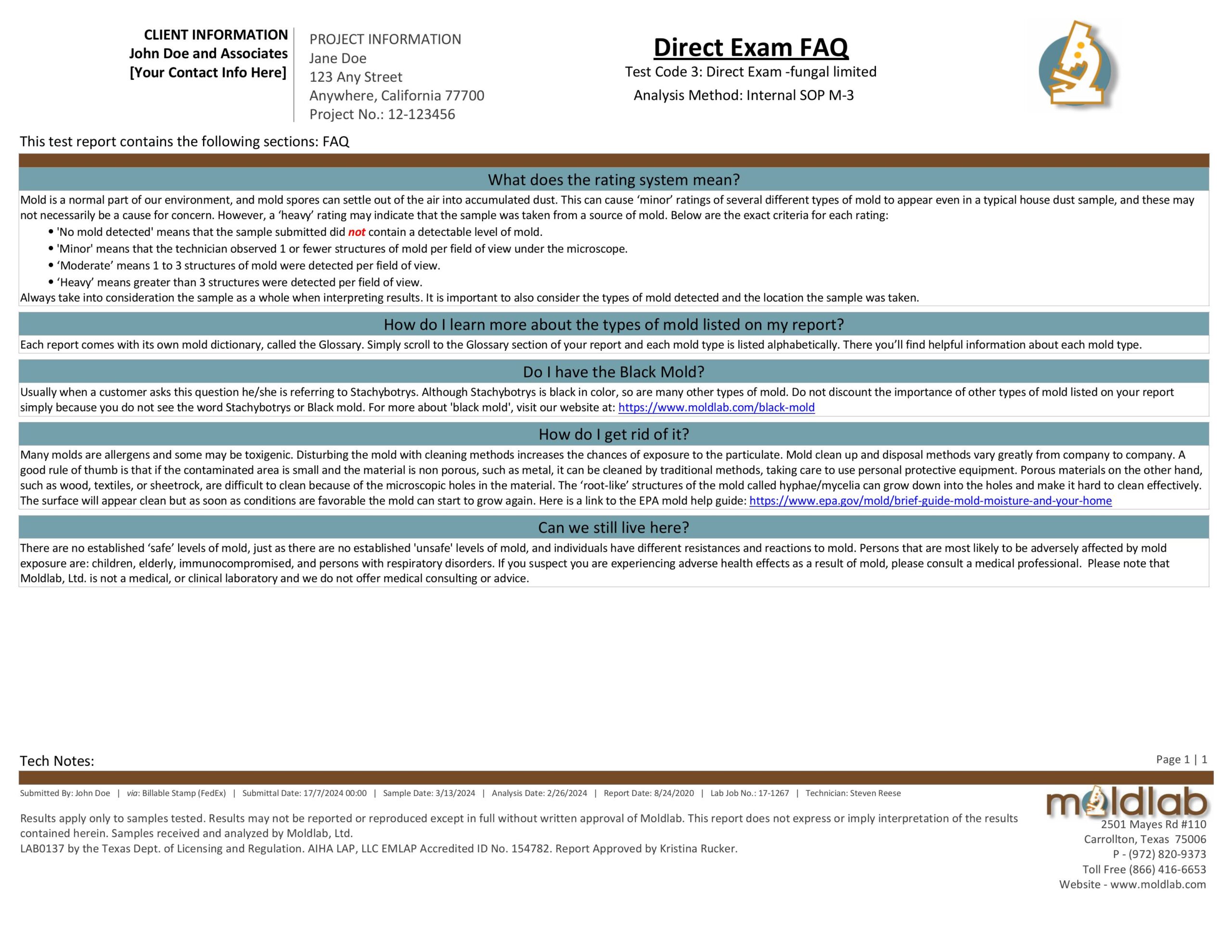 FAQ document for mold surface testing with swabs and tapes, answering common client questions on how to read results, rating definitions, types of mold, health concerns, cleanup advice, and when to consult a professional.