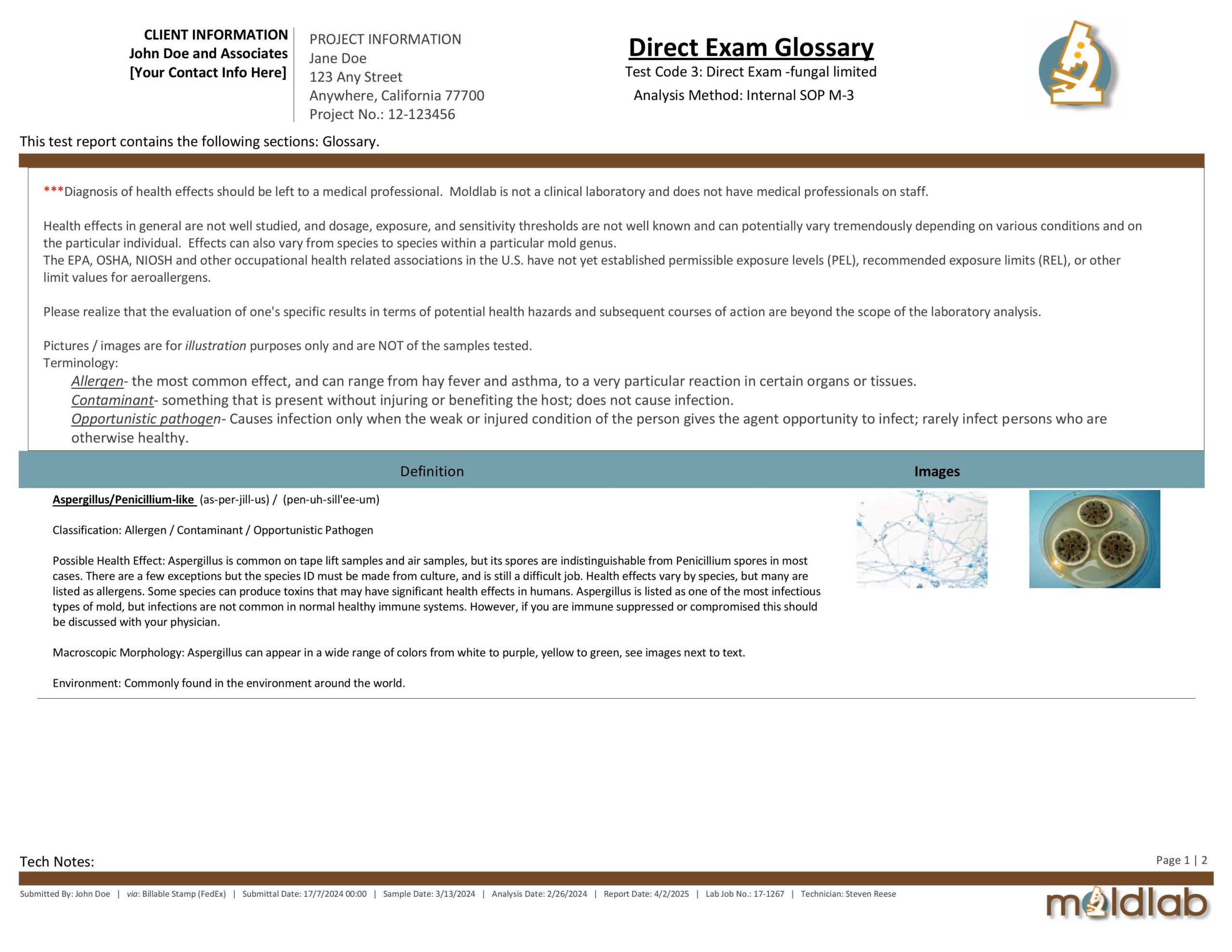 A sample Mold Glossary listing common indoor mold types with descriptions, potential health effects, and typical sources—automatically tailored to match detected molds in laboratory specimen results.