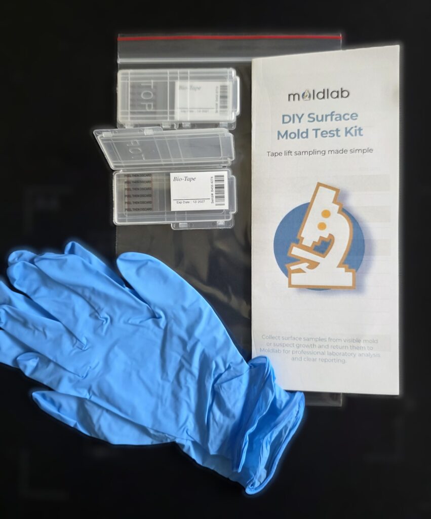 DIY mold test kit for surfaces with prepaid return mailer from Moldlab