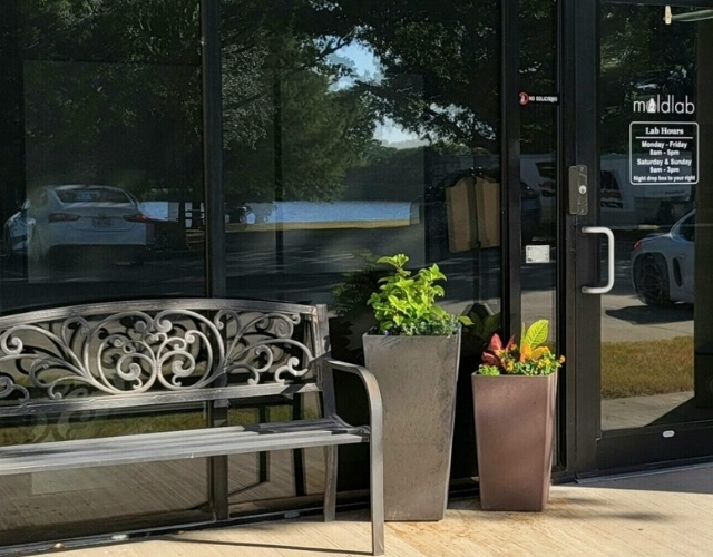 Exterior of Moldlab